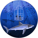 Jay Adams profile picture